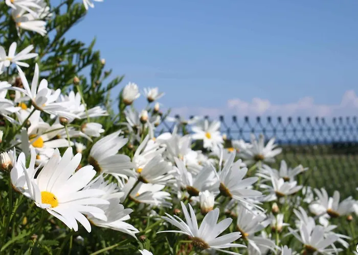 Mi Norte 2* Рибадео