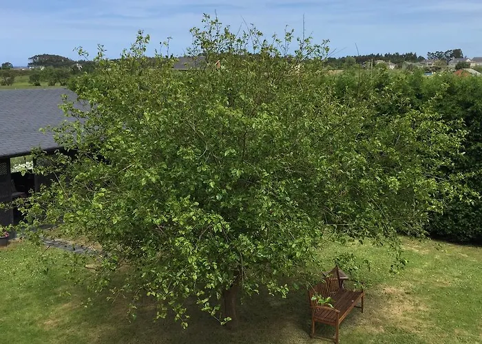 Отель Mi Norte Рибадео