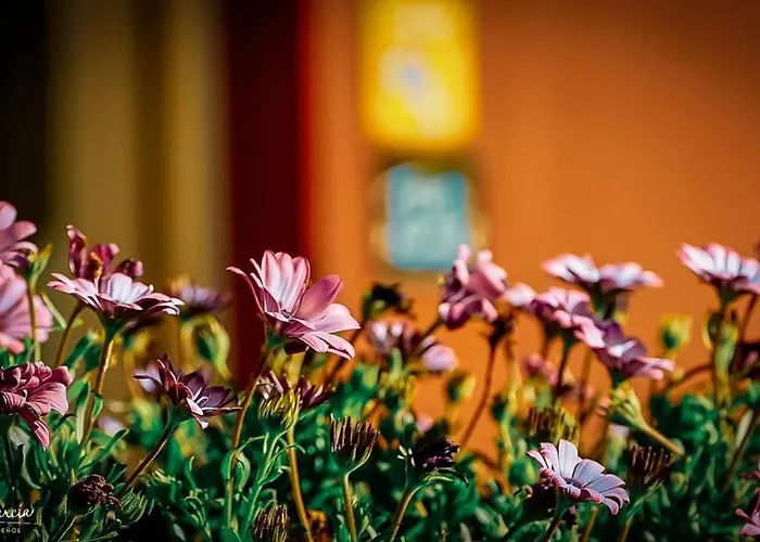 فندق Mi Norte 2*